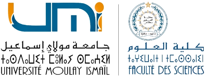 Logo Moulay Ismail University